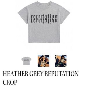 Taylor Swift Reputation Gray Crop Top